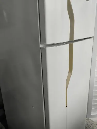 Geladeira Frost Free Electrolux 371 litros 110v - retirar Campos Elíseos Itanhaém
