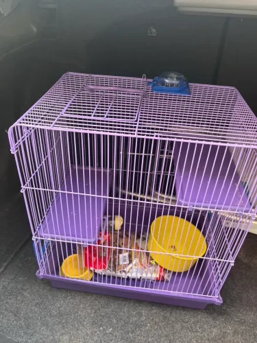 Vendo gaiola para hamster com túnel