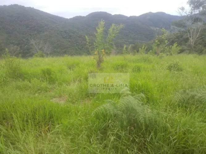 Sítio à venda, 484000 m² por R$ 1.100.000,00 - Rural - Lagoinha/SP