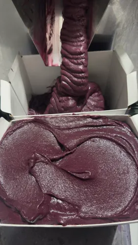 Açaí premium 10 litros