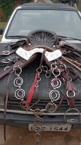CUTUCA CHAPEADA