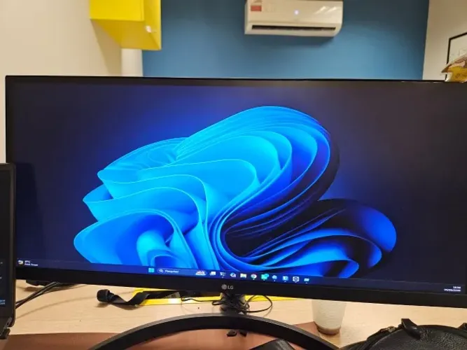 MONITOR LG 29'