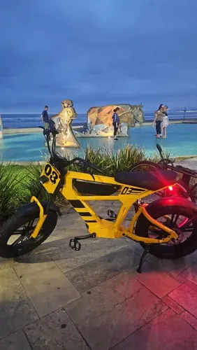 Bicicleta eletrica