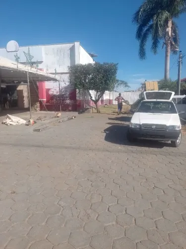 Pode de árvore e manutenção de jardim 