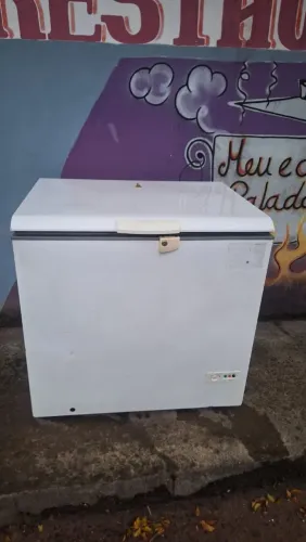 Freezer 310 litros 