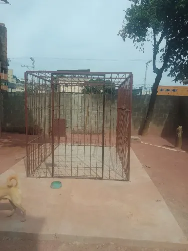 Gaiola pra armazenamento