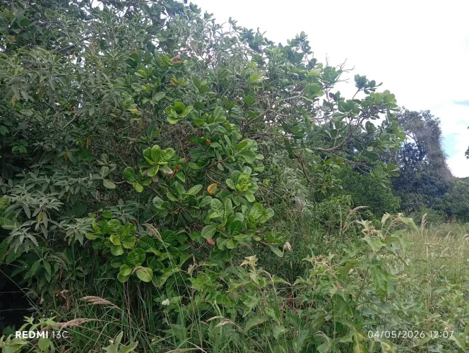 Terreno para sítio no retiro coração de Maria