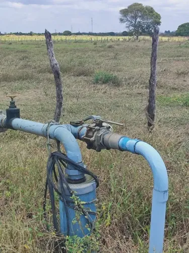 Excelente fazenda com 250 hectares na região de Extremoz