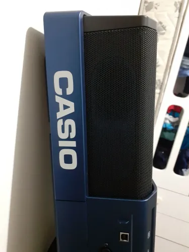 Teclado casio MZ-X500
