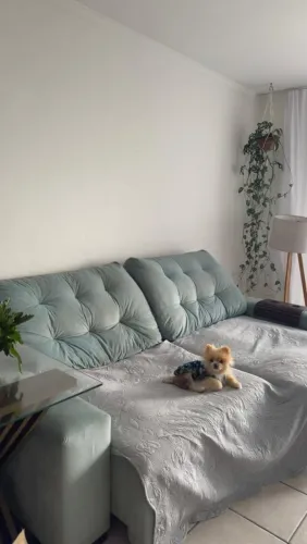 Estofado lindo 3 lugares (estrutura firme) só precisa trocar espuma