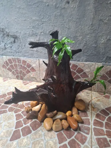 Tronco plantado aquário 