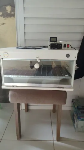 Chocadeira Gold Automática
