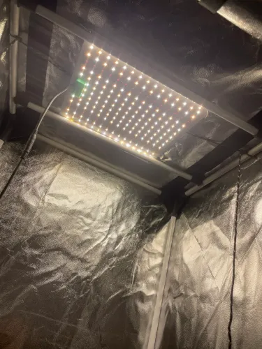 Kit Estufa Indoor Completo - Growbox + LED + Exaustor 100mm + Acessórios