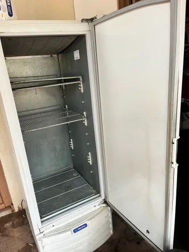 Freezer vertical grande 539L leia