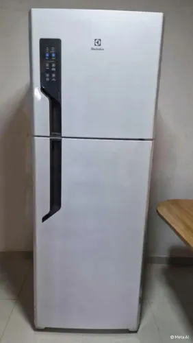 Fost Free Electrolux 431 litros