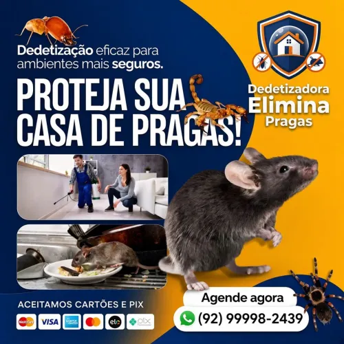 Dedetização