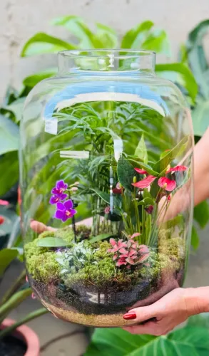 Terrário de Vidro com Plantas Naturais