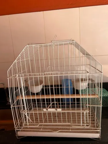 Gaiola de arame branco