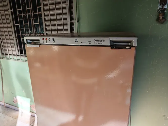 Freezer 220v