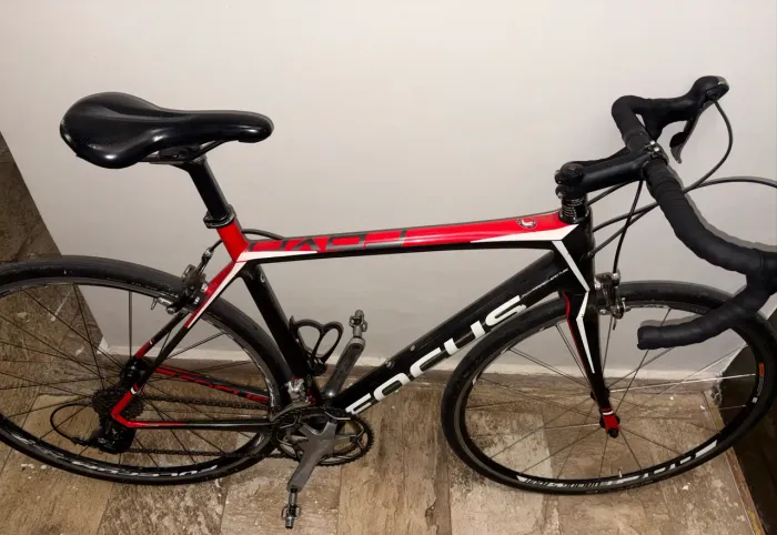 Focus cayo carbono 54