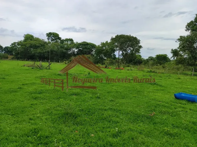 Fazenda a venda com 249 hectares na região de Três Lagoas-MS