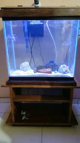 Aquario