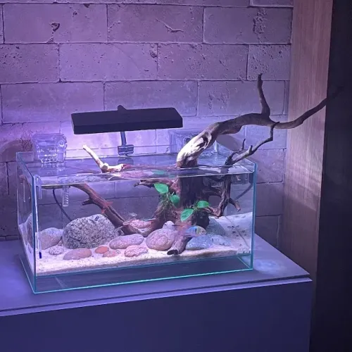 Aquário Levitante AFX 40x20x20 Completo