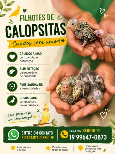Amigos fofos