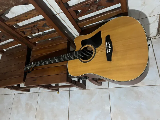 Vendo violão strinberg