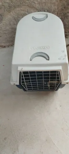 CARRO TRANSPORTE PARA PET