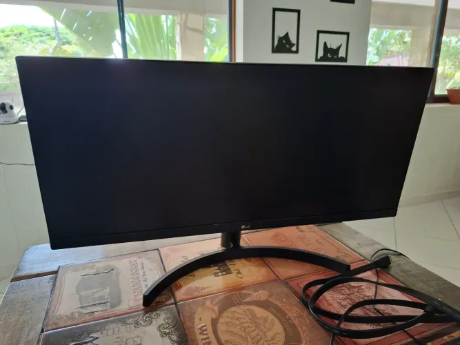 Monitor profissional LG
