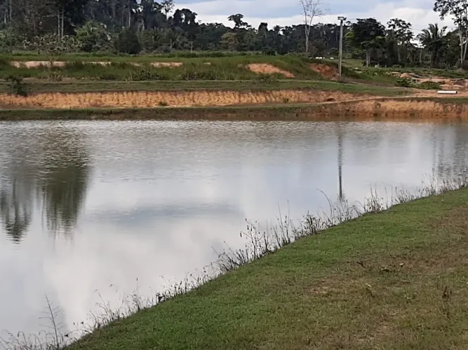 Vendo uma Ótima Fazenda Sentido Ariquemes