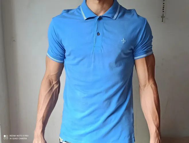 Camisa