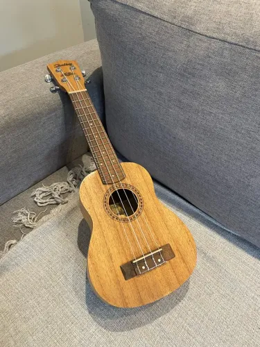 Ukulele Shelby sem detalhes