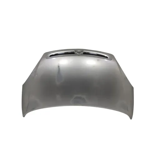 Capo Citroen Xsara Picasso 2000 a 2007 Prata Original (Peça:1)
