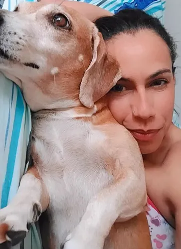 Passeio para Cães com Carinho e Segurança! ?