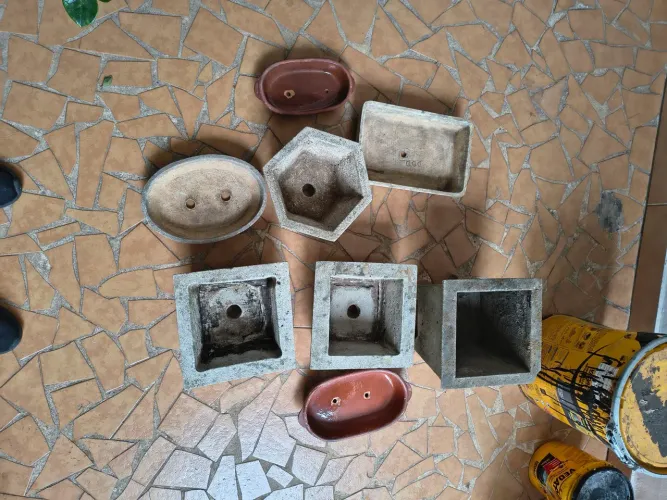 Lote de vasos de planta