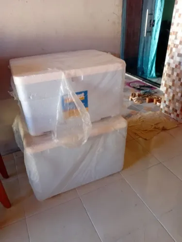 Isopor termico
