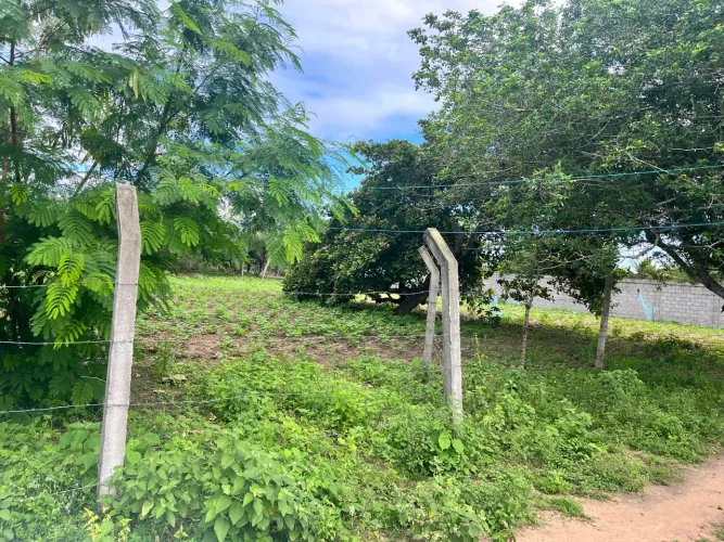 São José Maria Quitéria