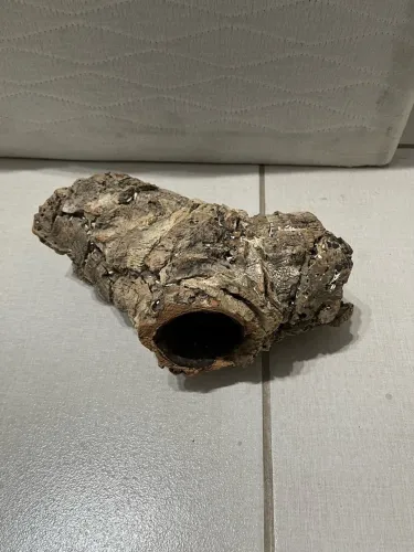 Cork bark roedores grande