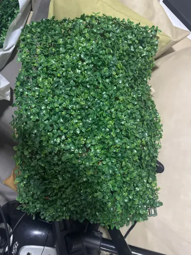 Placas de Planta Decoração