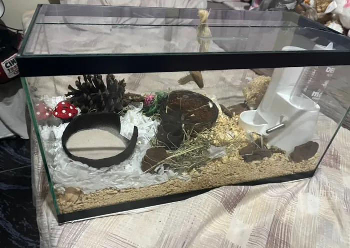 Aquário 20 litros(com uma das tampas quebradas) só o aquário sem os acessórios