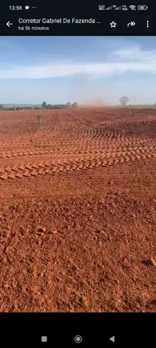 Fazenda de arrendamento 1.500hec em itaquerê barra do garça. MT.
