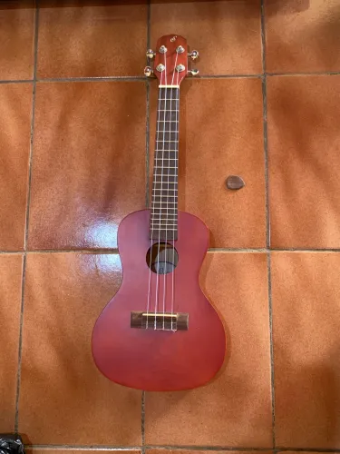 Ukulele Concert Giannini