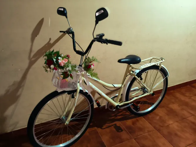 Bicicleta aesthetic Aro 26