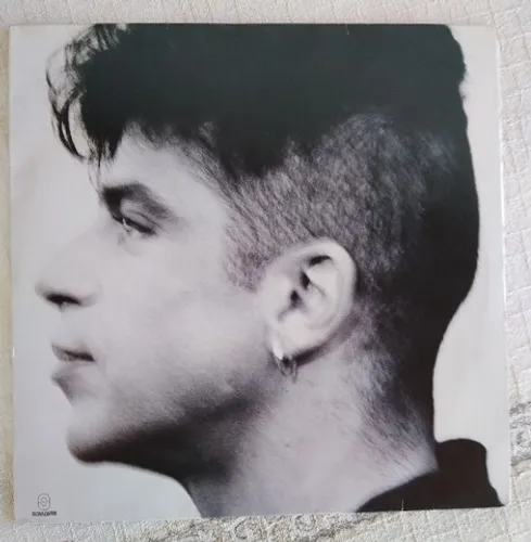 LP Disco de Vinil Lulu Santos - Minha Vida 