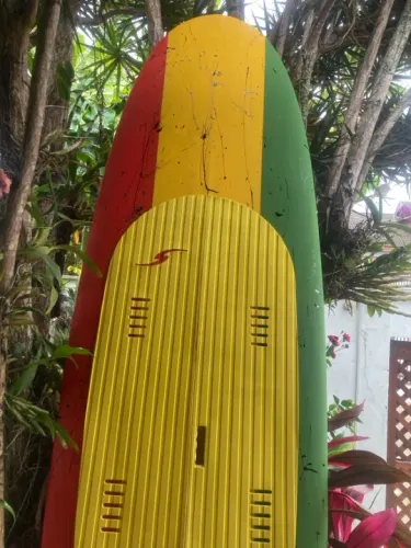 Prancha Stand Up gratis capa Reggae remada entrego