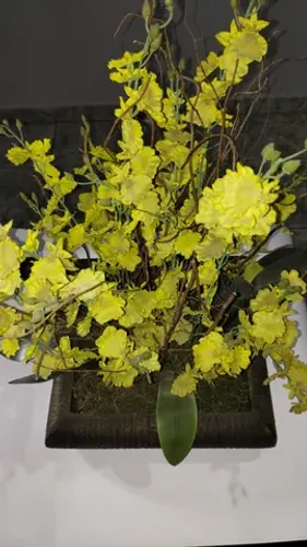 Arranjo Flores - Pingo De Ouro