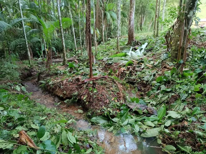 Terreno para chácara * Aceita parcelamento