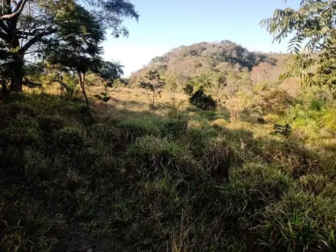 Terreno 29ha, terra boa e quase todo formado em branquearão, Baldim.